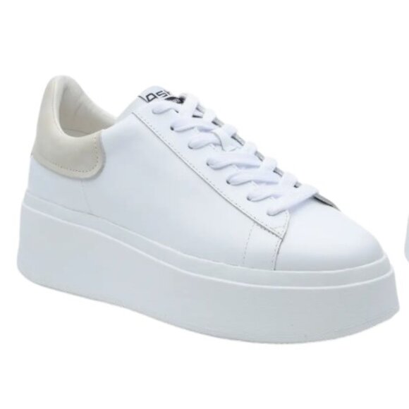 Ash Moby Platform Leather Sneaker (Women) in Eggnog & White